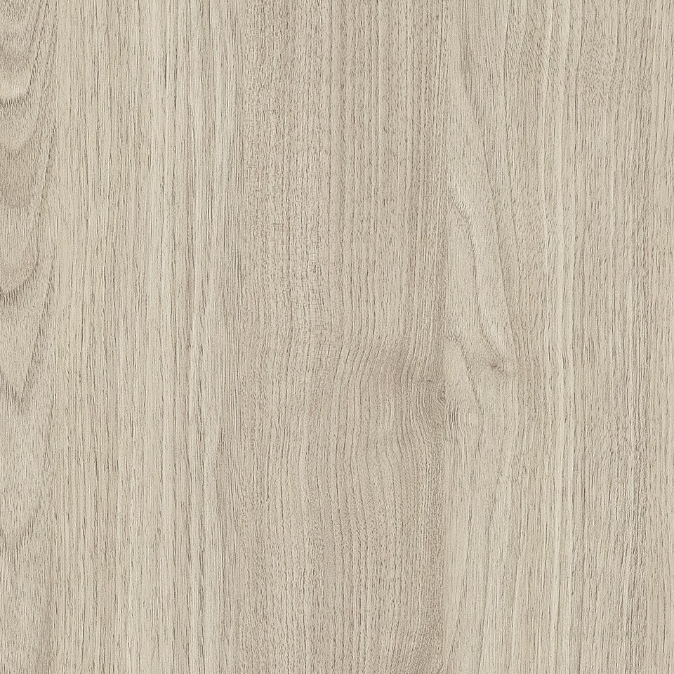 ligurian-walnut